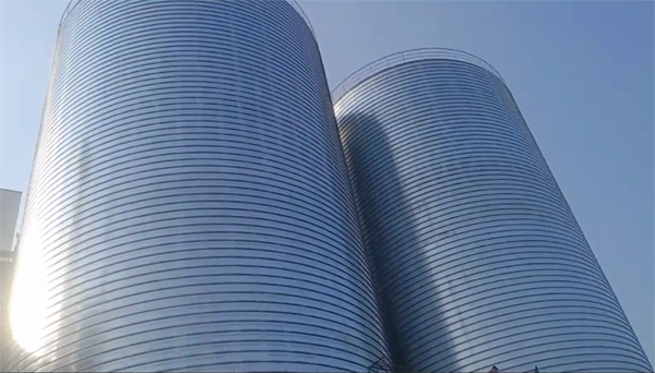 太平2座混凝土高架卷板仓